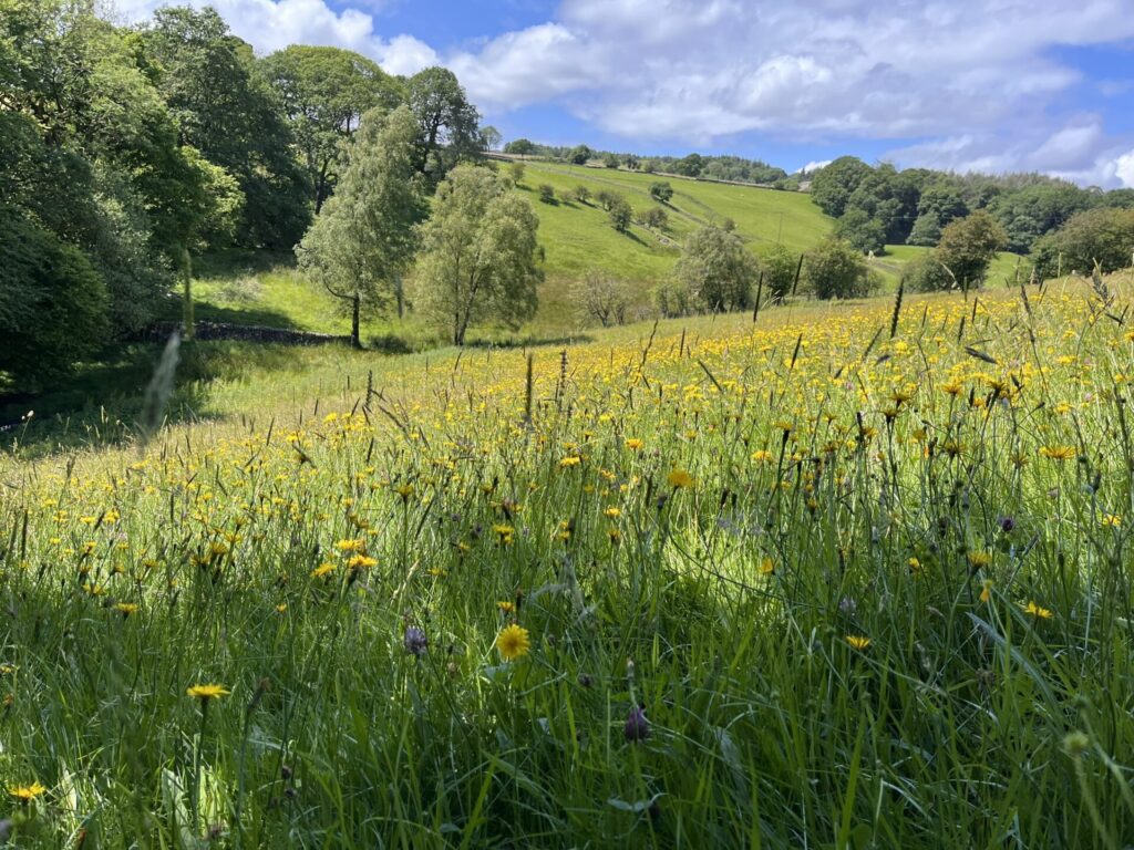 Habitats Regulations Assessment Screening Report