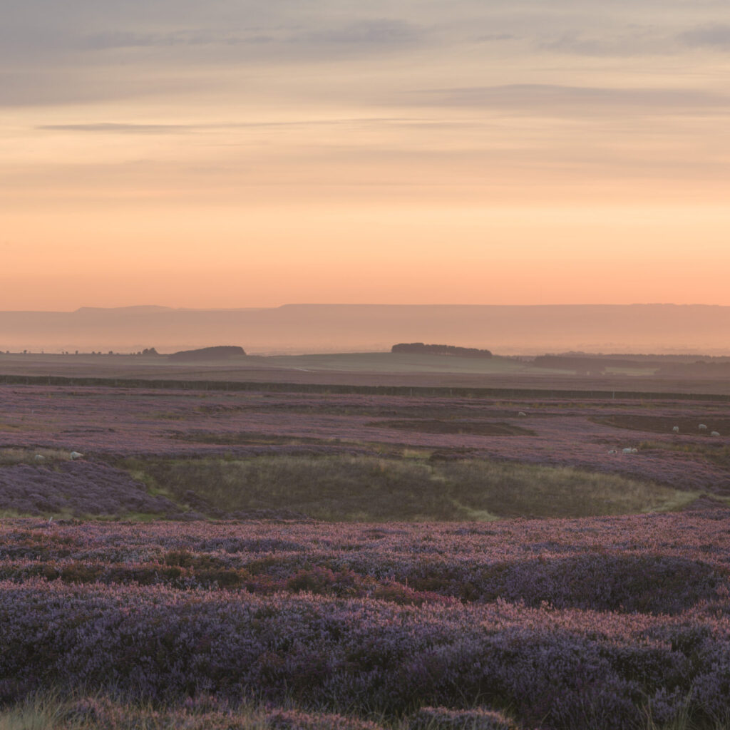 Fountains Earth Moor Audio Walk