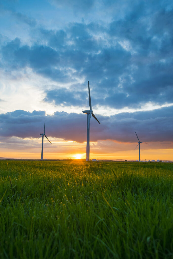 Renewable Energy Position Statement