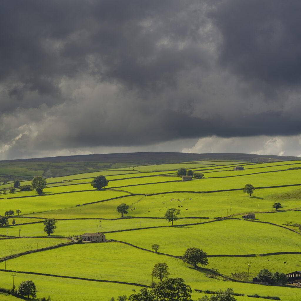 Bird of Prey in Nidderdale AONB – Evidence Report (2019)