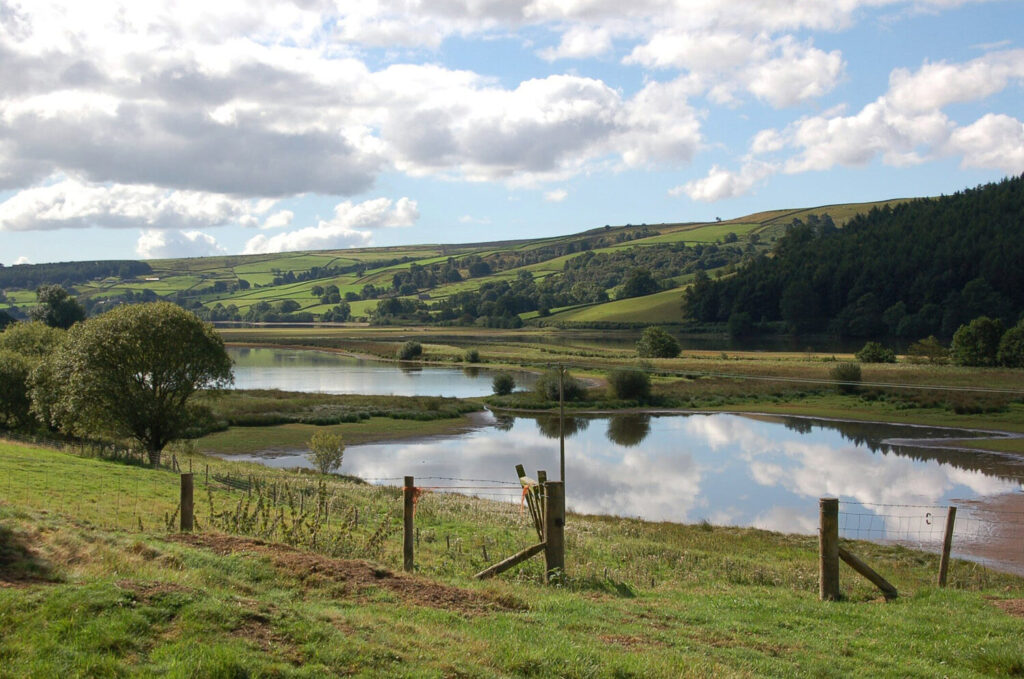 Gouthwaite Reservoir