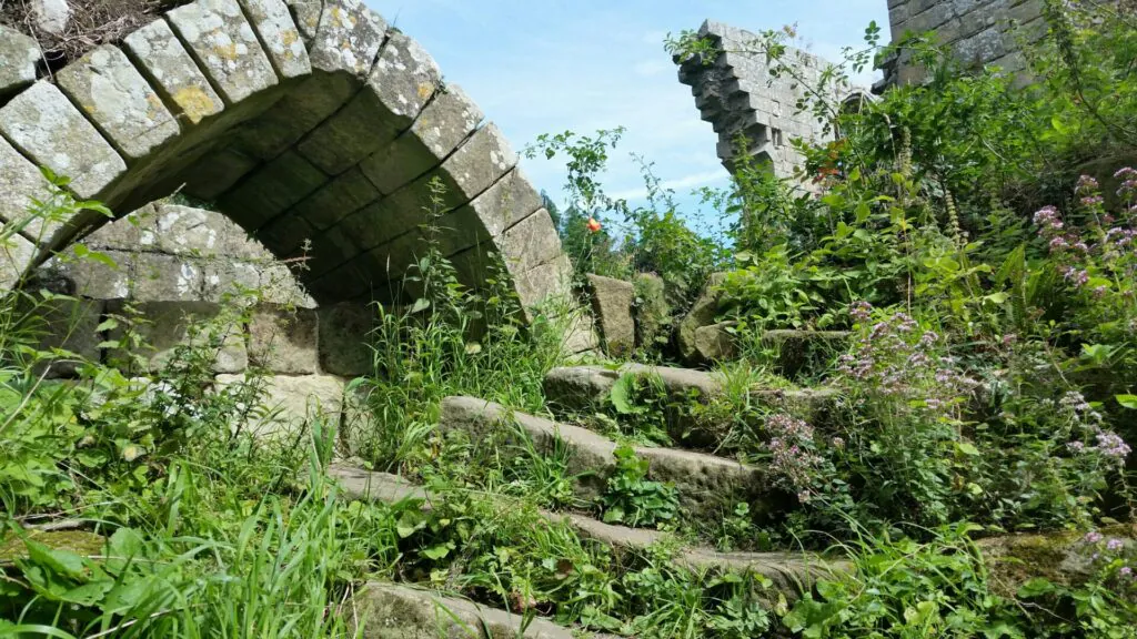 Jervaulx Abbey