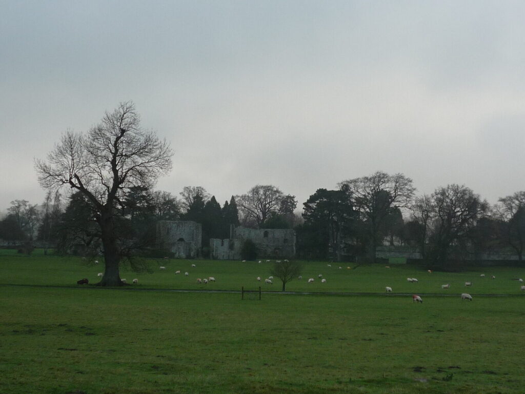 Jervaulx Abbey