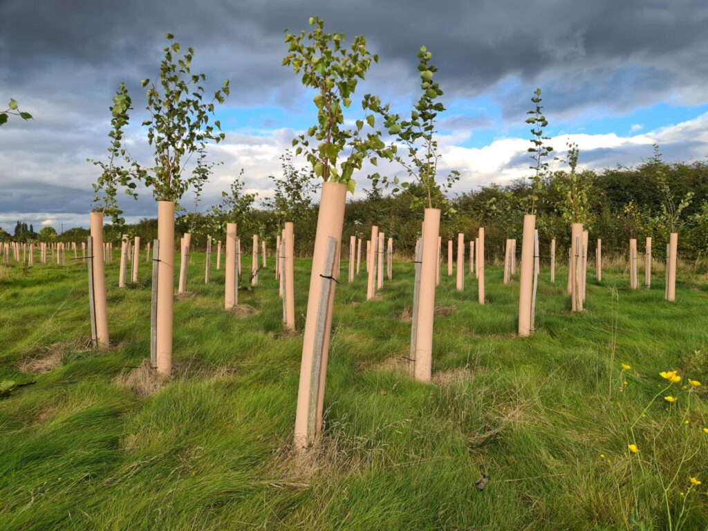 Plastic Free Trees