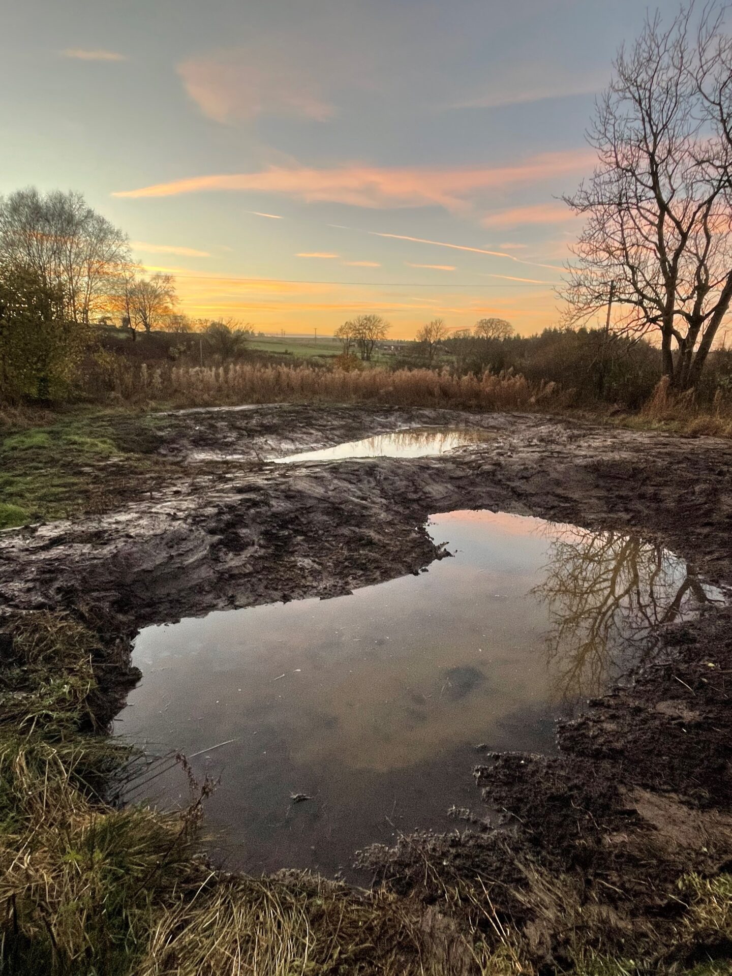 Two newly dug ponds with sun setting behind them. 