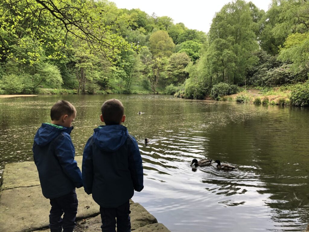 Fishpond Wood