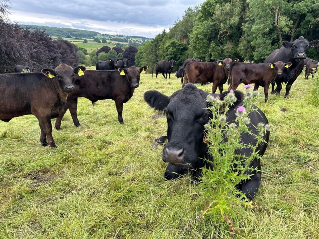 Positive change at Aldburgh