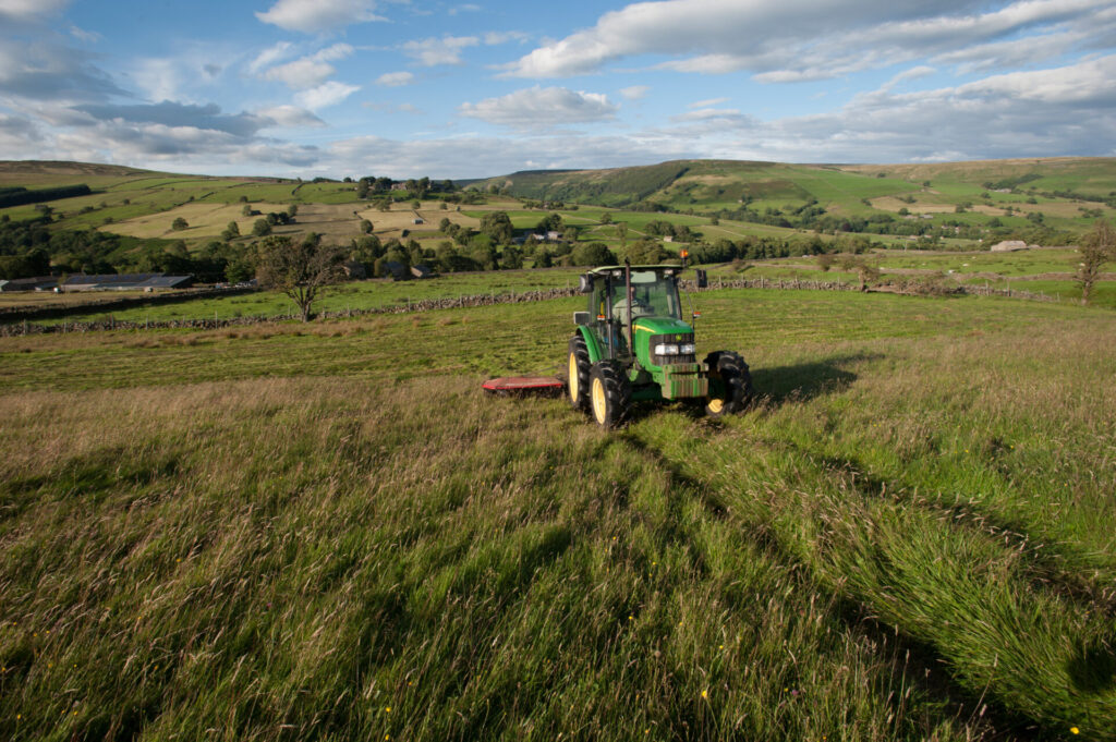How concerned communities can help Nidderdale’s curlews