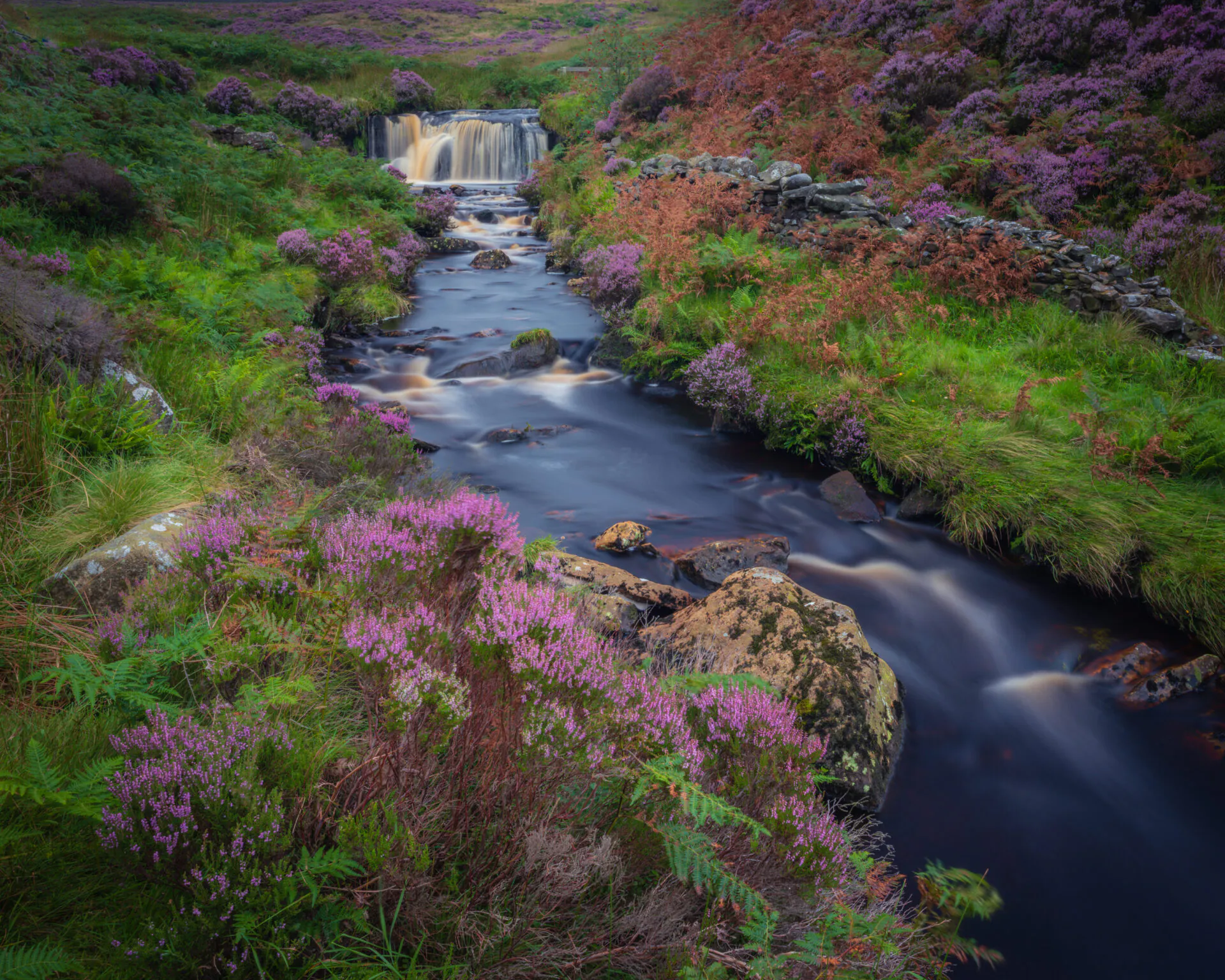 Fast flowing stream flanked by green grass and purple heather