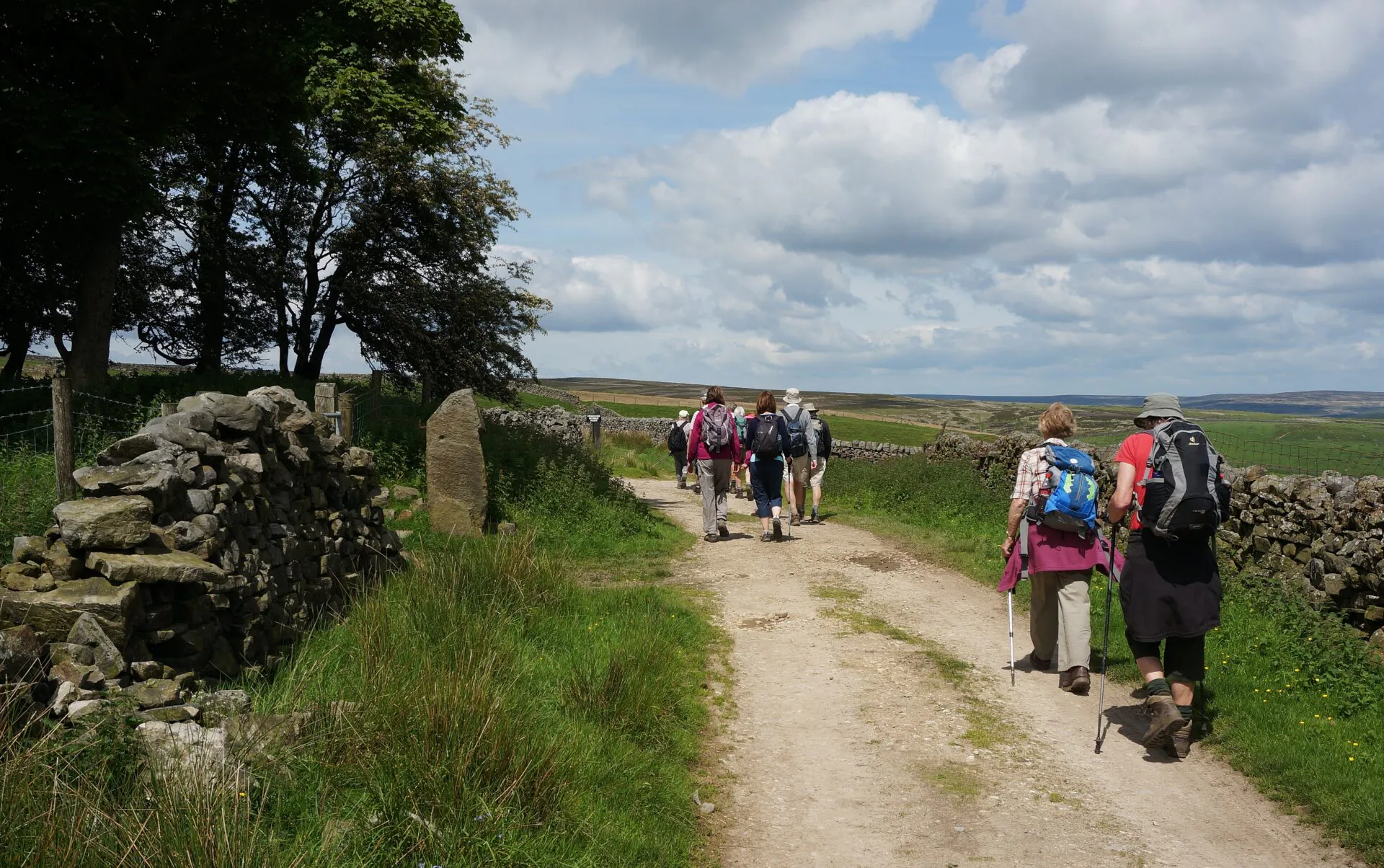 A group of walkers wearing backpacks on a gravel lane with a tree and dry stone wall to the left and a dry stone wlal on the right. The sky is blue with a few white clouds.