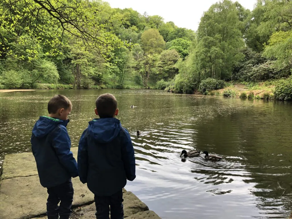 Fishpond Wood